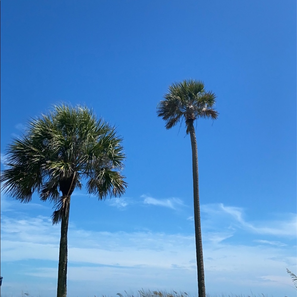 Meet your Posher, Sophia